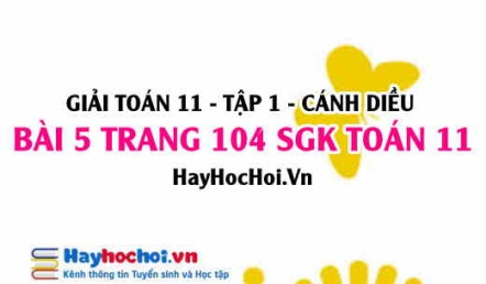 Giải bài 5 trang 104 Toán 11 tập 1 SGK Cánh Diều